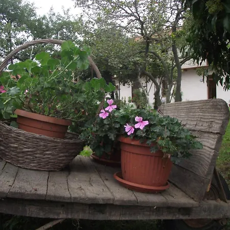 Del Monastero Hostel Dronero