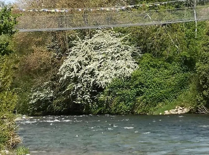 Del Monastero Dronero