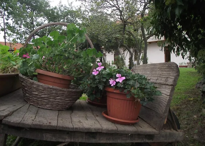 Del Monastero Hostel Dronero